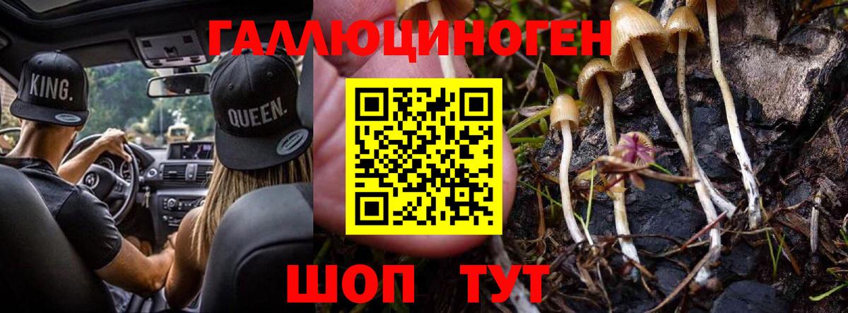 Галлюциногенные грибы прущие грибы Пугачёв